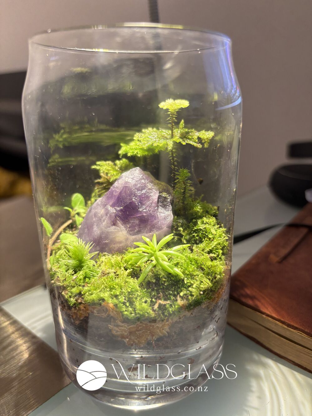 Amethyst Crystal Terrarium with LED Light