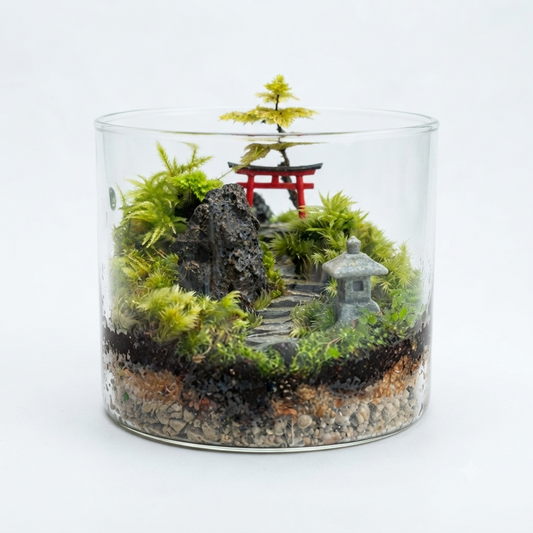 Zen Moss Terrarium | Living Glass Terrarium
