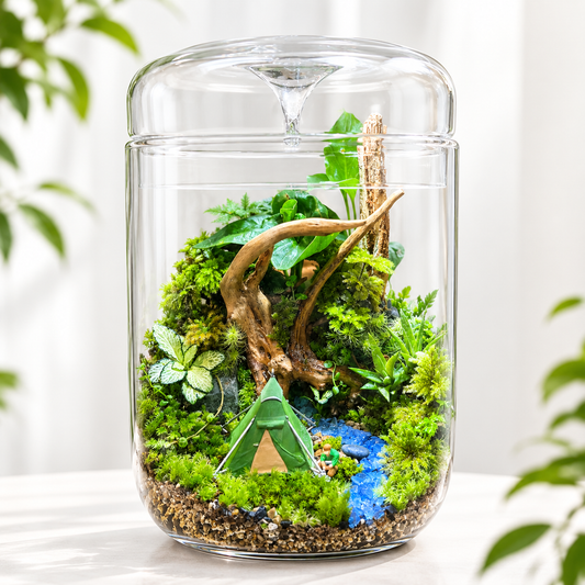 Forest Camping Moss Terrarium with Light – Handmade Living Miniature Garden