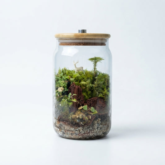 Natural Decorative Stone Terrarium with LED Light