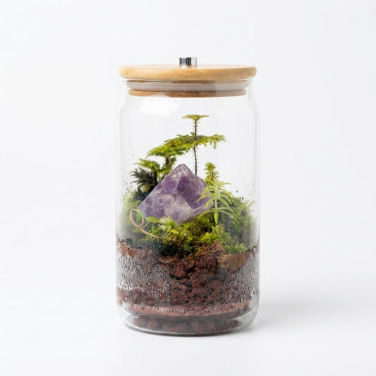 Amethyst Crystal Terrarium with LED Light