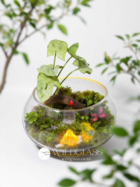 Crystal Light Terrarium | Mini Fairy Garden