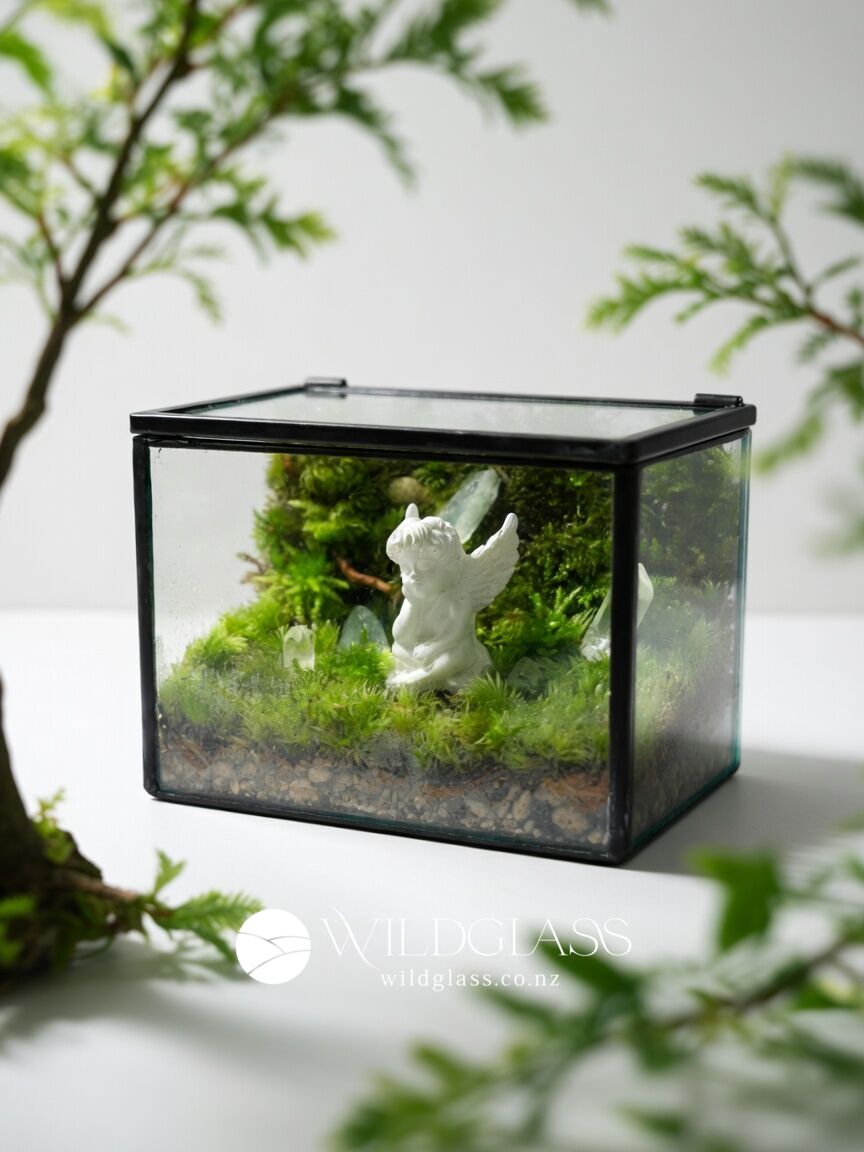 Angel Moss Terrarium | Crystal Decor Glass Container