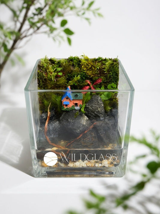 Square Glass Terrarium | Stone Cottage Mini Landscape