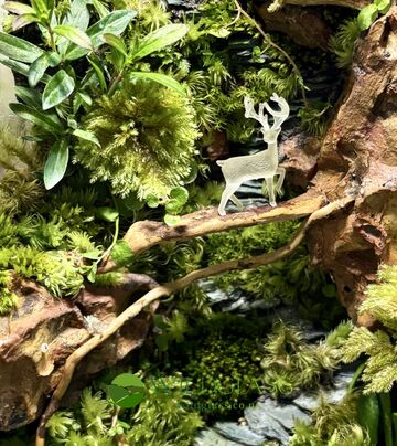 Geometric Terrarium | Deer Forest Mini Ecosystem