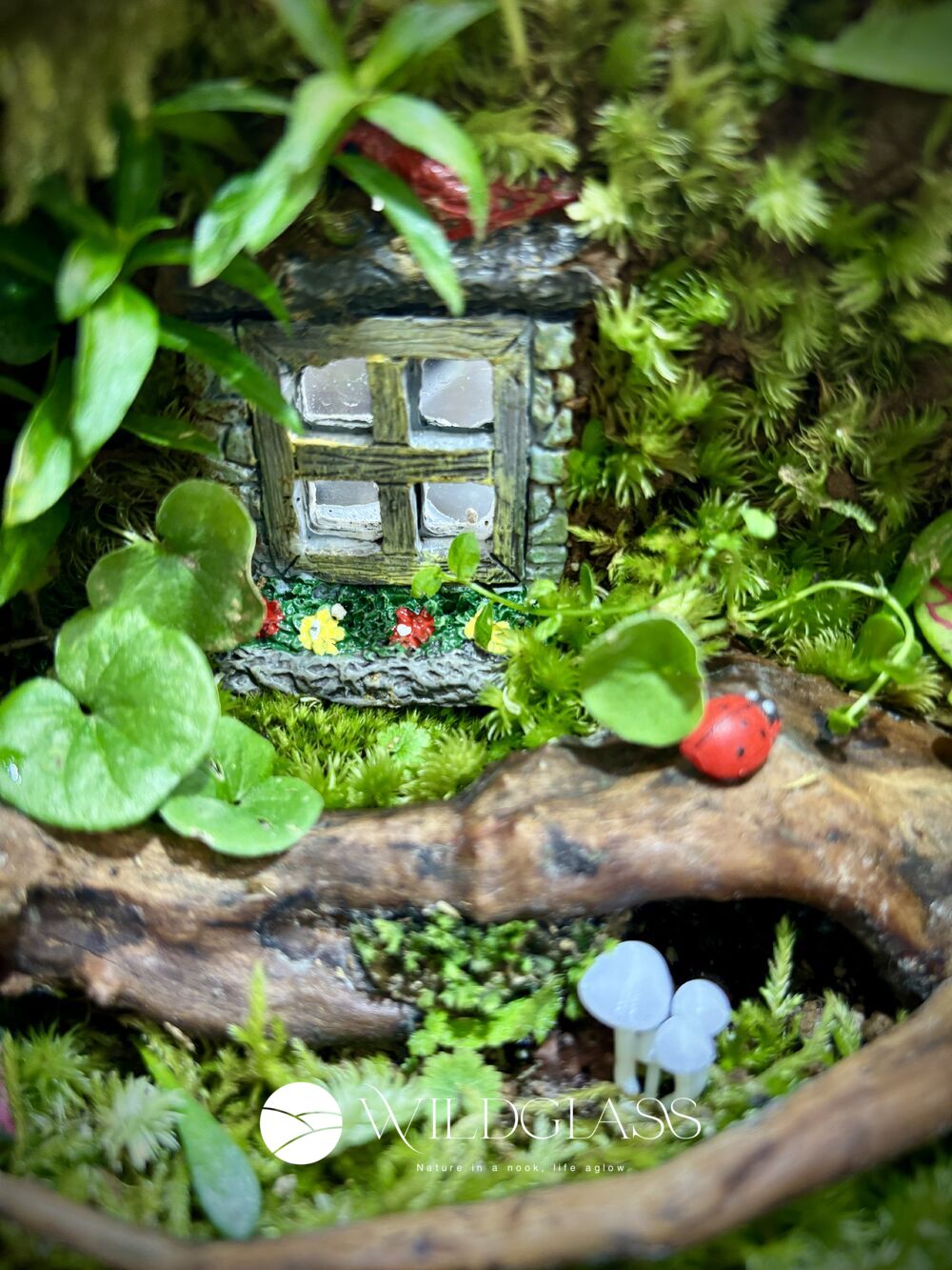 Enchanted Forest Living Moss Terrarium with Light