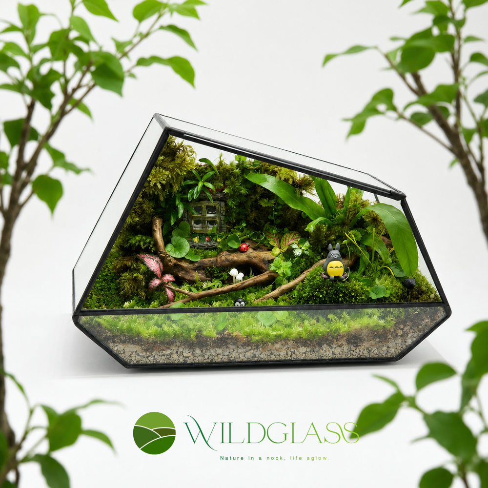Enchanted Forest Living Moss Terrarium with Light