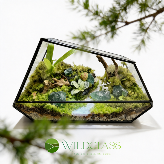 Enchanted Forest Living Moss Terrarium with Light