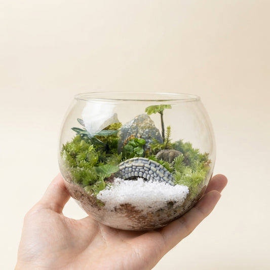 Living Moss Terrarium with Raw Crystal