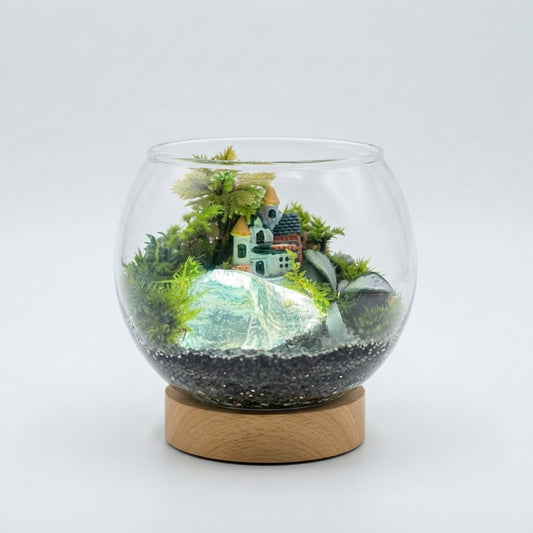 Living Moss Terrarium with Light