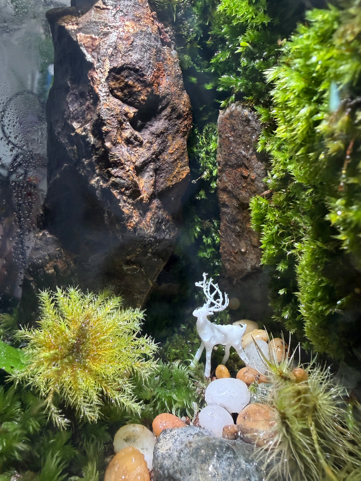 Natural Stone Stairs Terrarium with Light