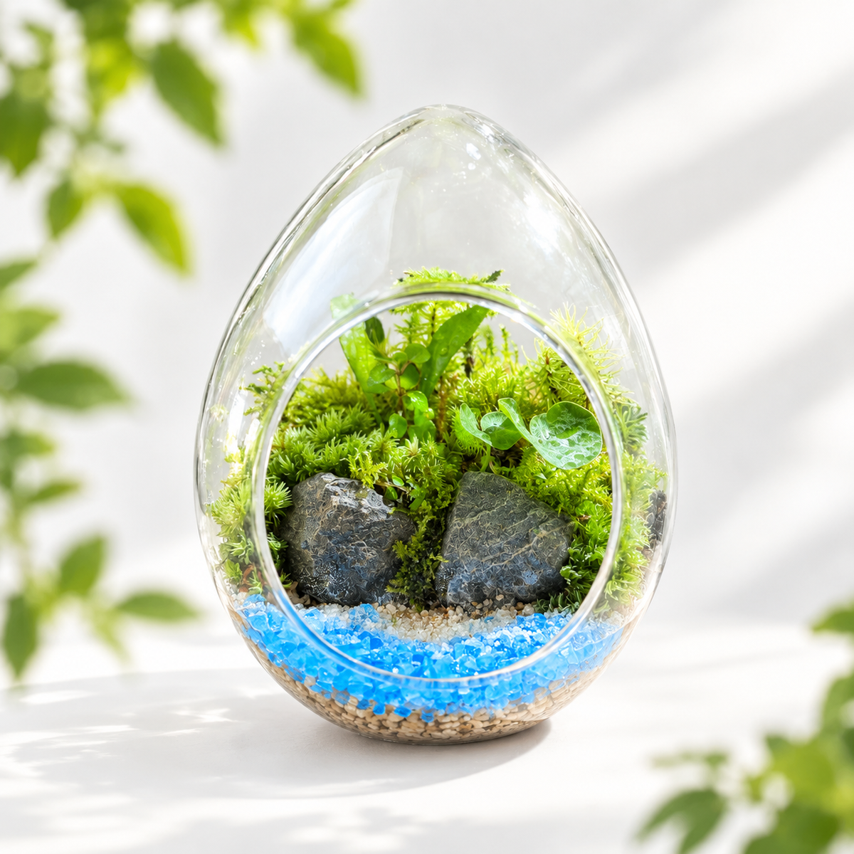 Egg-Shaped Moss Terrarium – Waterside Living Miniature Garden