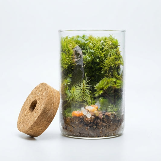 Natural Decorative Stone Terrarium with Moss Wall