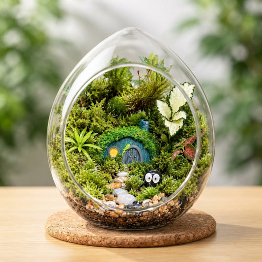 Egg-Shaped Fairy Forest Moss Terrarium