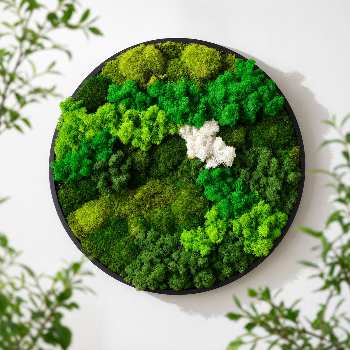 40cm Round Moss Wall Art | Botanical Wall Decor