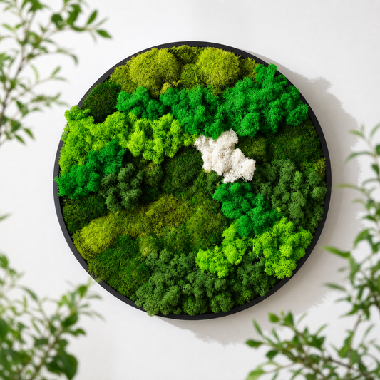 40cm Round Moss Wall Art | Botanical Wall Decor