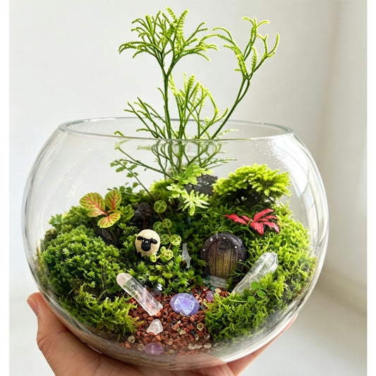 Fairy forest terrarium