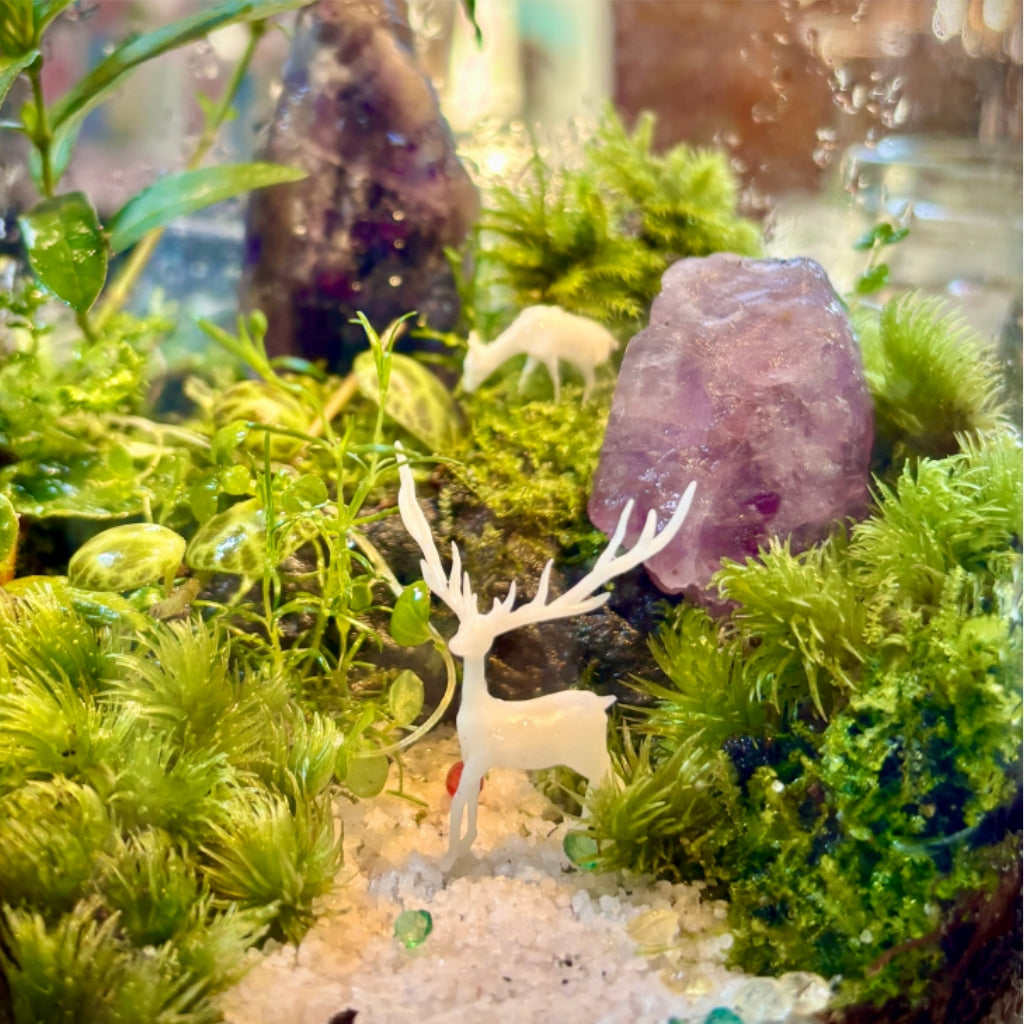 Amethyst Crystal Moss Handcrafted Living Terrarium