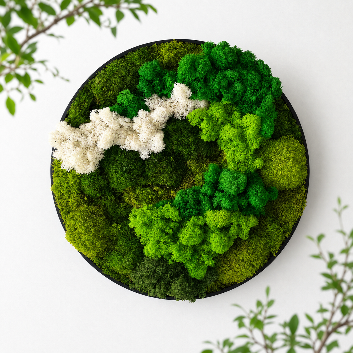 30cm Round Moss Wall Art | Botanical Wall Decor