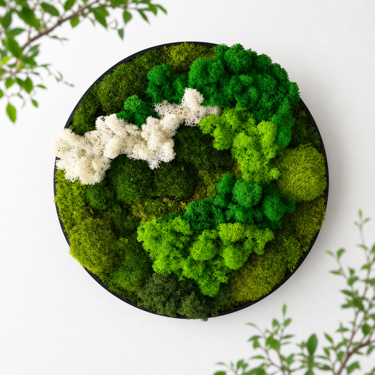 30cm Round Moss Wall Art | Botanical Wall Decor